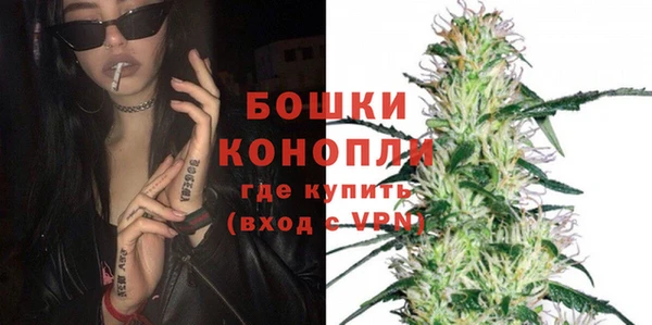стаф Осинники