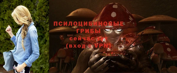 тгк Алексеевка